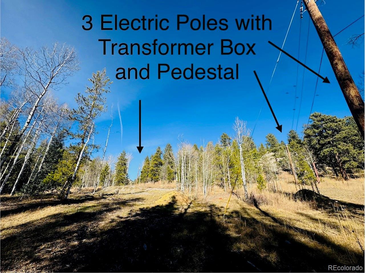 216620 Indian Springs Road Conifer, CO 80433 - Photo 22 of 43 3 Electric Poles with Transformer and Pedestal
