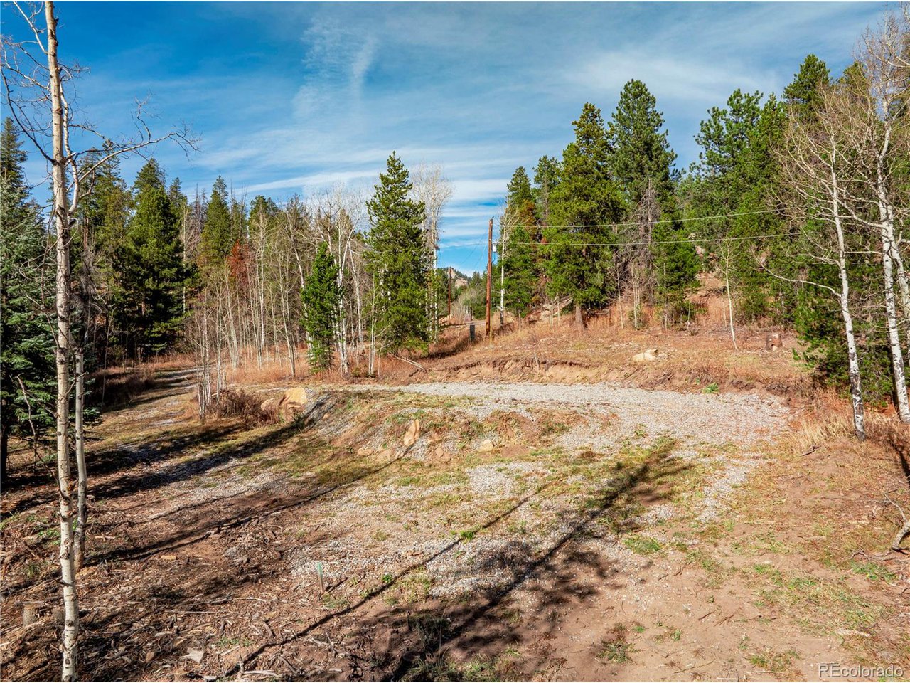 216620 Indian Springs Road Conifer, CO 80433 - Photo 27 of 43