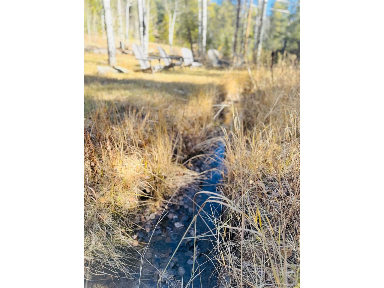 216620 Indian Springs Road Conifer, CO 80433 - Photo 41 of 43 Creekside