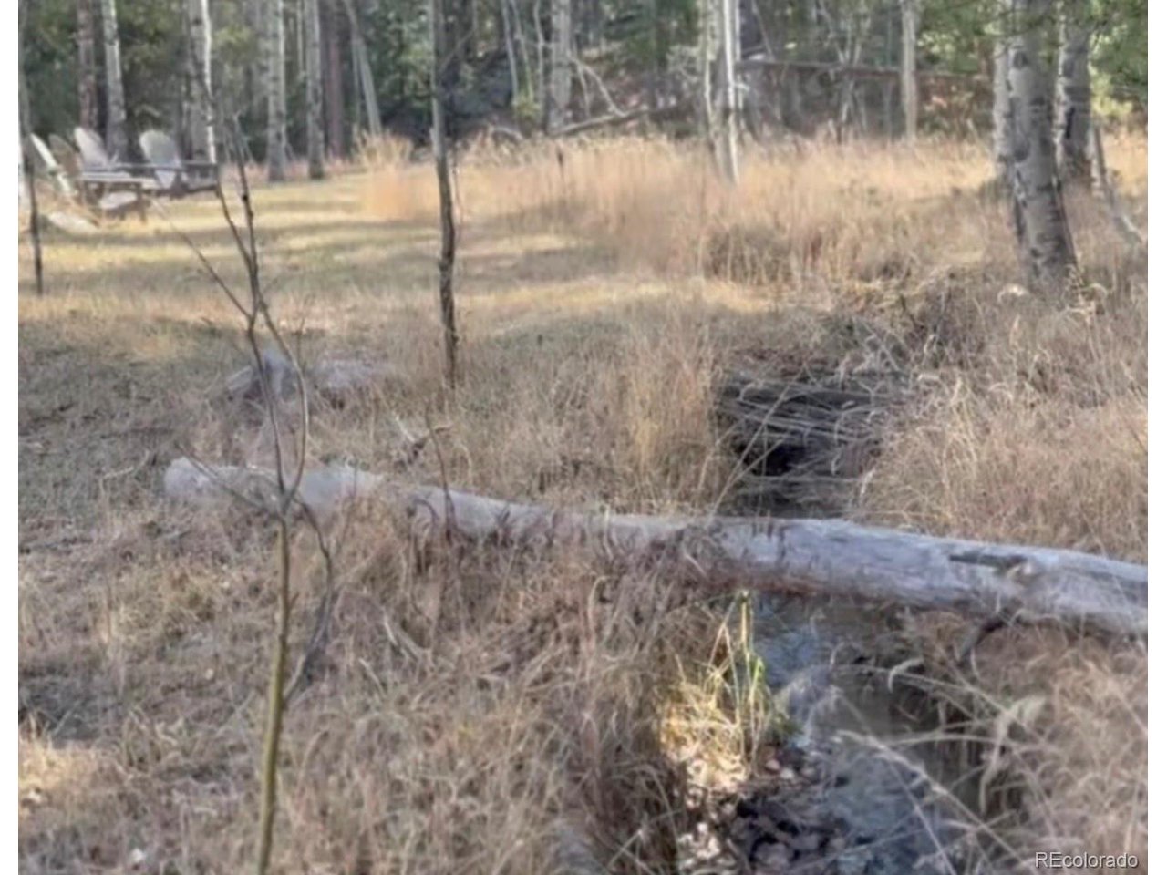 216620 Indian Springs Road Conifer, CO 80433 - Photo 42 of 43