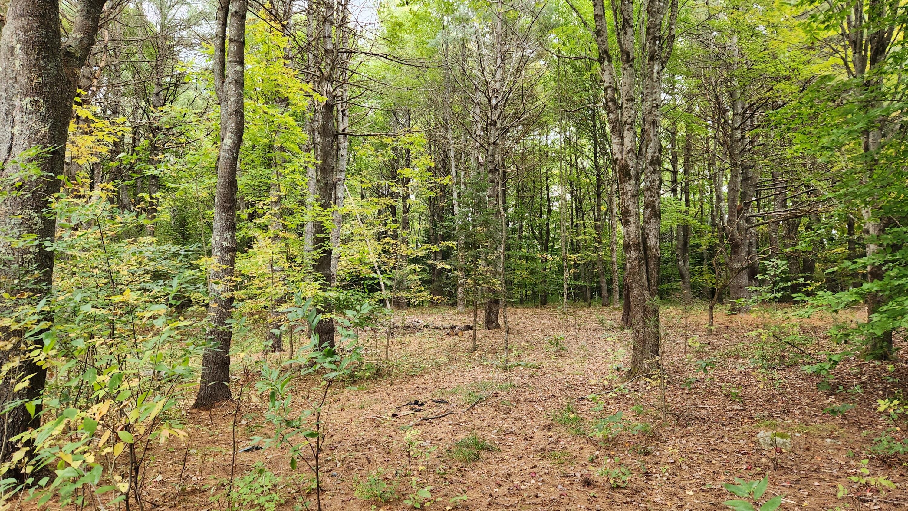 308 Bean Road Mount Vernon, ME 04352 - Photo 41 of 41 20241001_143234