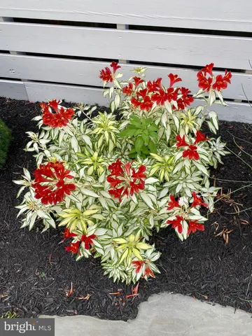 $2,499,000 | 7 West Essex Street, Fenwick Island, DE 19944