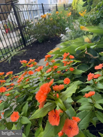 $2,499,000 | 7 West Essex Street, Fenwick Island, DE 19944