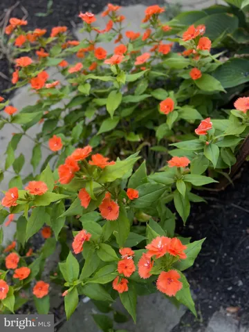 $2,499,000 | 7 West Essex Street, Fenwick Island, DE 19944