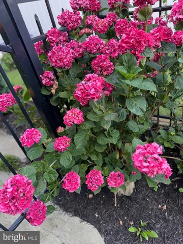 $2,499,000 | 7 West Essex Street, Fenwick Island, DE 19944