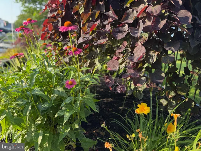 $2,499,000 | 7 West Essex Street, Fenwick Island, DE 19944