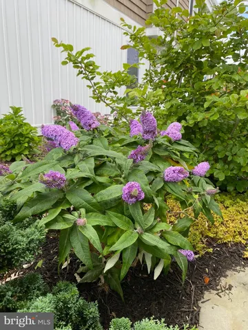 $2,499,000 | 7 West Essex Street, Fenwick Island, DE 19944