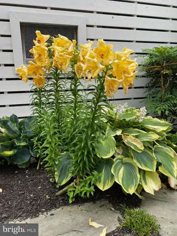 $2,499,000 | 7 West Essex Street, Fenwick Island, DE 19944