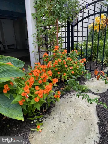 $2,499,000 | 7 West Essex Street, Fenwick Island, DE 19944