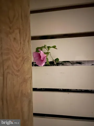 $2,499,000 | 7 West Essex Street, Fenwick Island, DE 19944