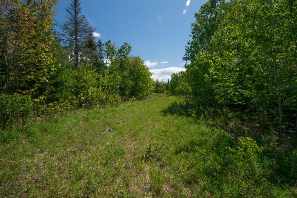7 Spruce Mountain Road Avon, ME 04966 - Photo 3 of 10 Land