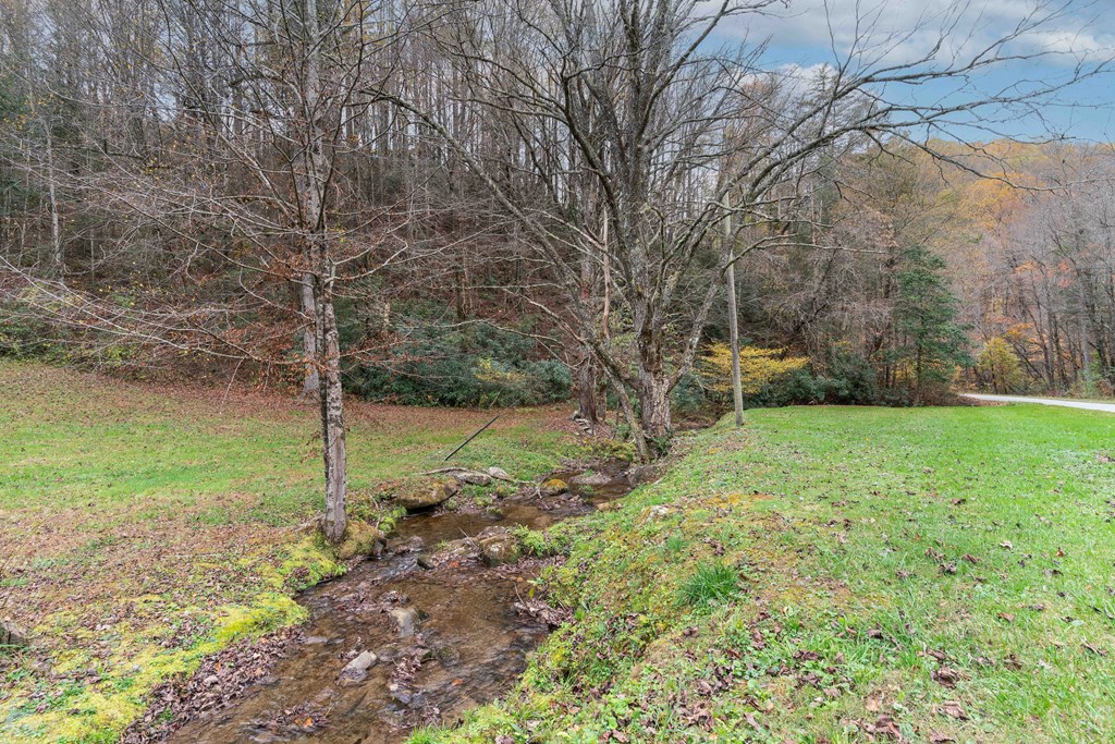 5107 Boiling Springs Road Murphy, NC 28906 - Photo 3 of 30