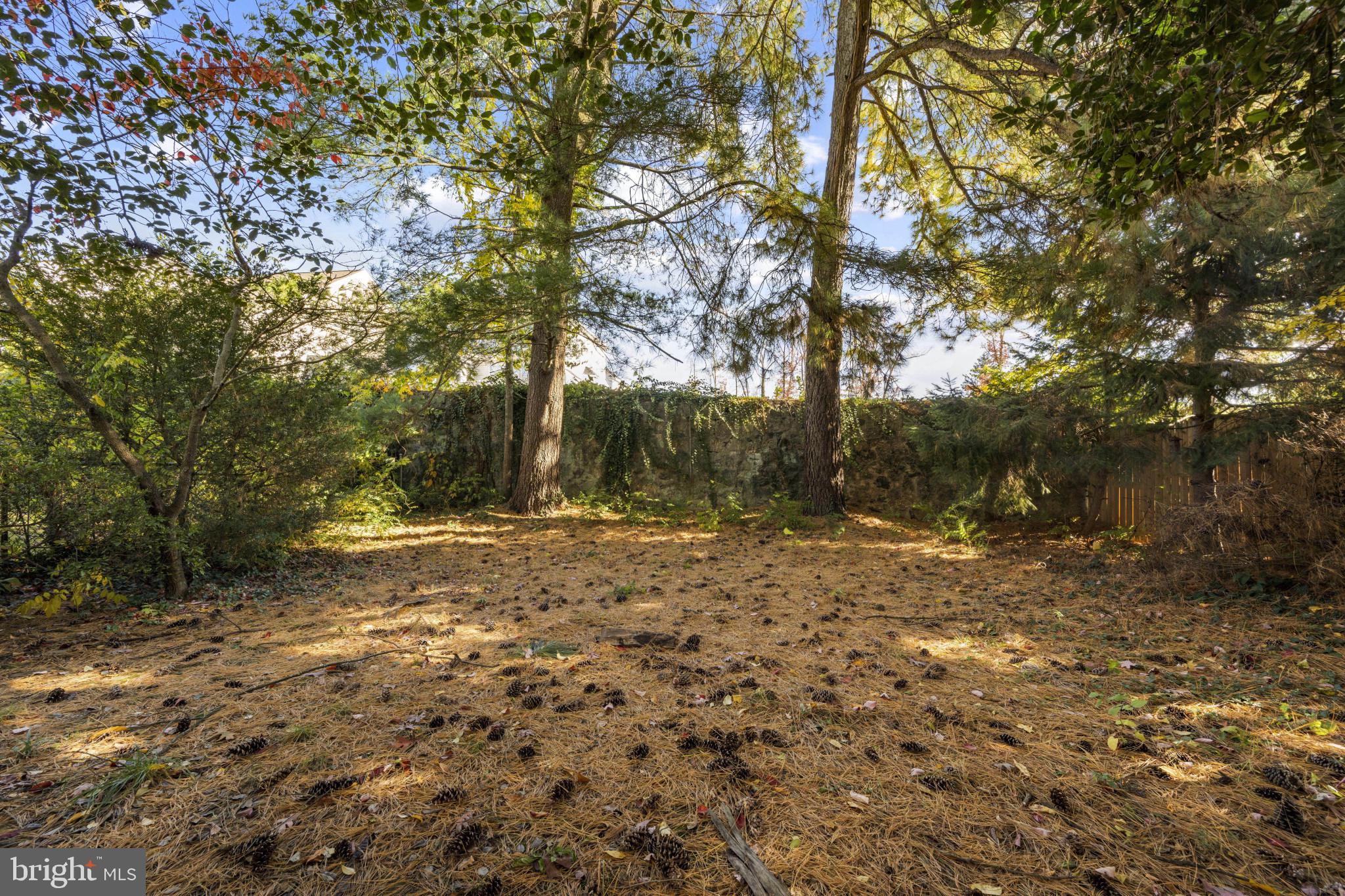 355 Hackley Drive Joppa, MD 21085 - Photo 38 of 38 a view of a yard with large trees