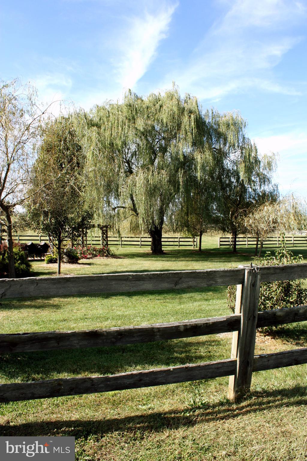 5621 Ridge Road Mount Airy, MD 21771 - Photo 20 of 23 Willow Tree