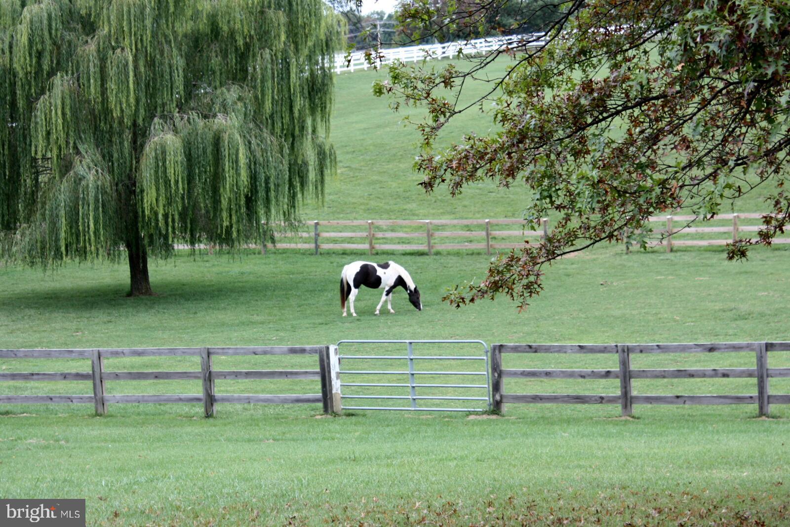 5621 Ridge Road Mount Airy, MD 21771 - Photo 23 of 23 Paddocks