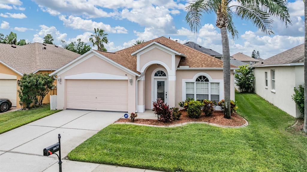 10435 Peppergrass Court Trinity, FL 34655 - Photo 1 of 1 a front view of a house with a garden