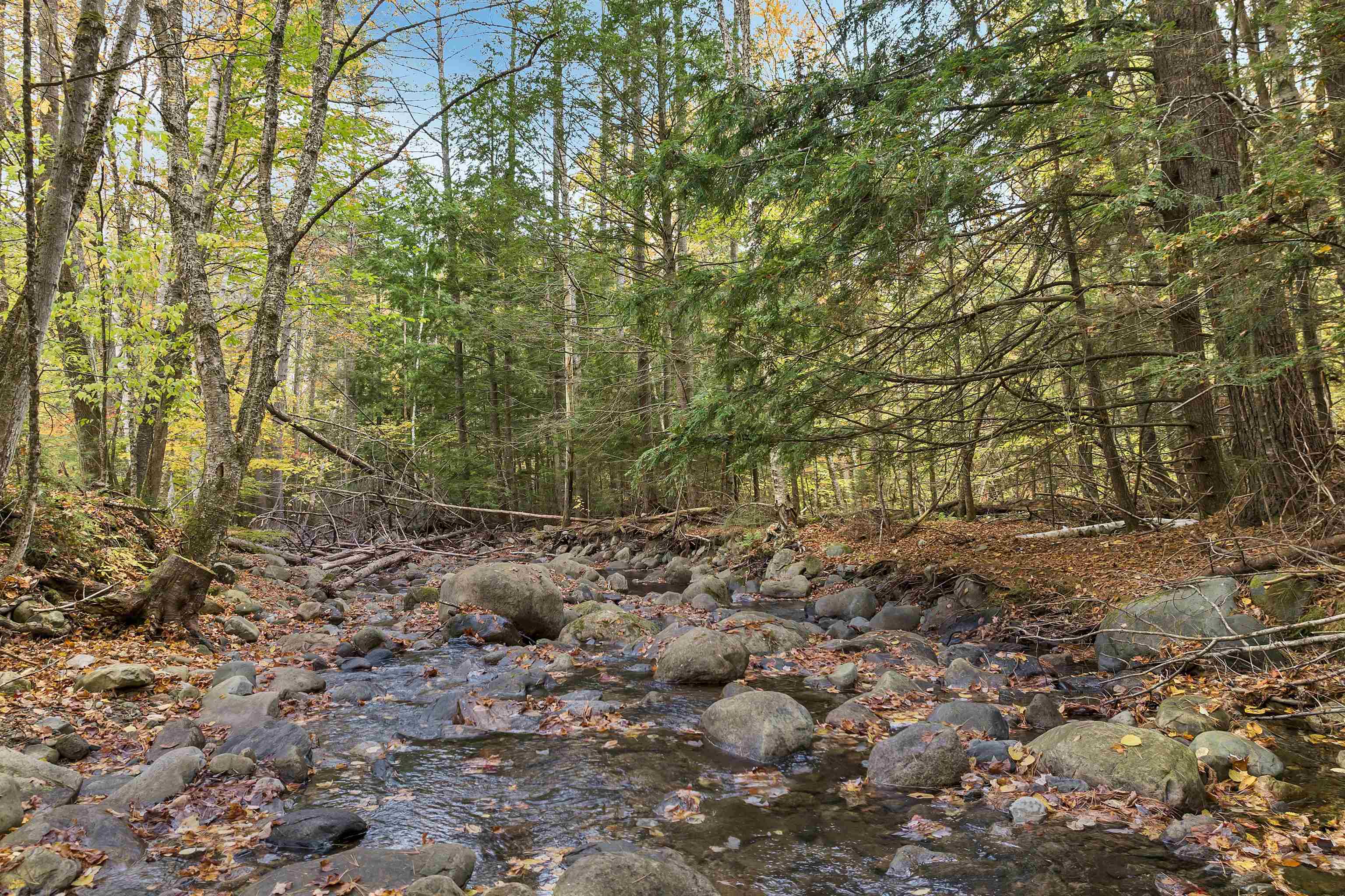 427 Lake Tarleton Road Warren, NH 03279 - Photo 28 of 36 Gallery Image 28