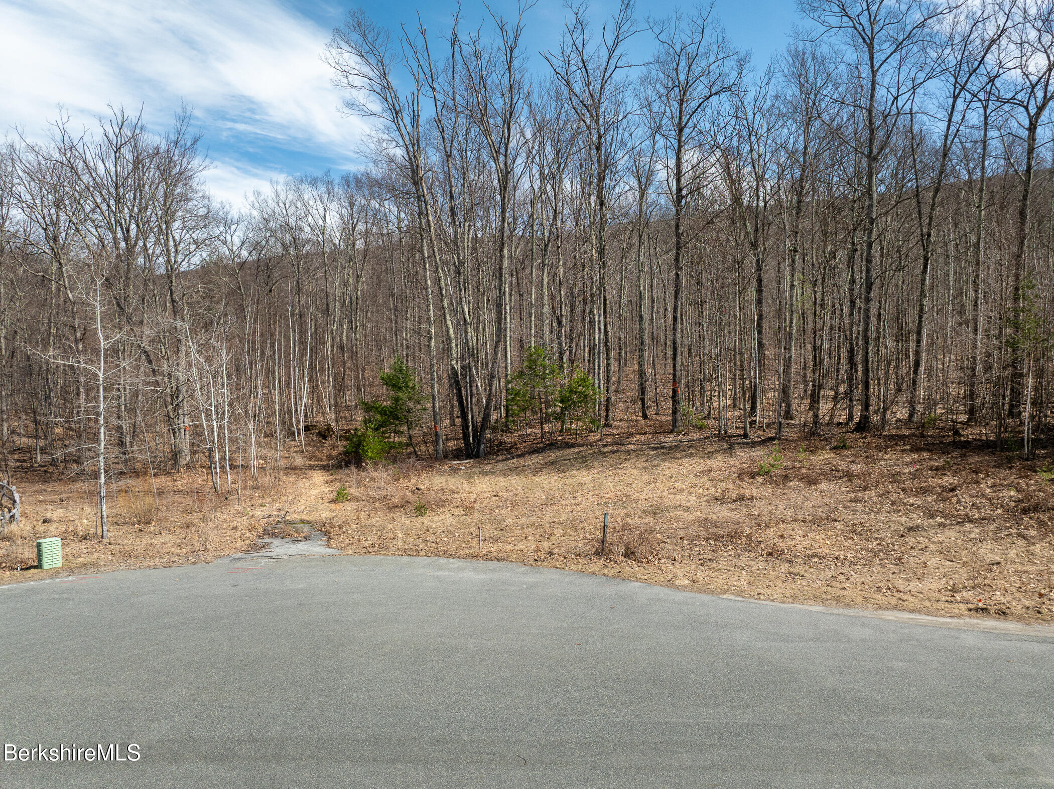 336 Sweet Farm Road Williamstown, MA 01267 - Photo 5 of 8 Cul de sac