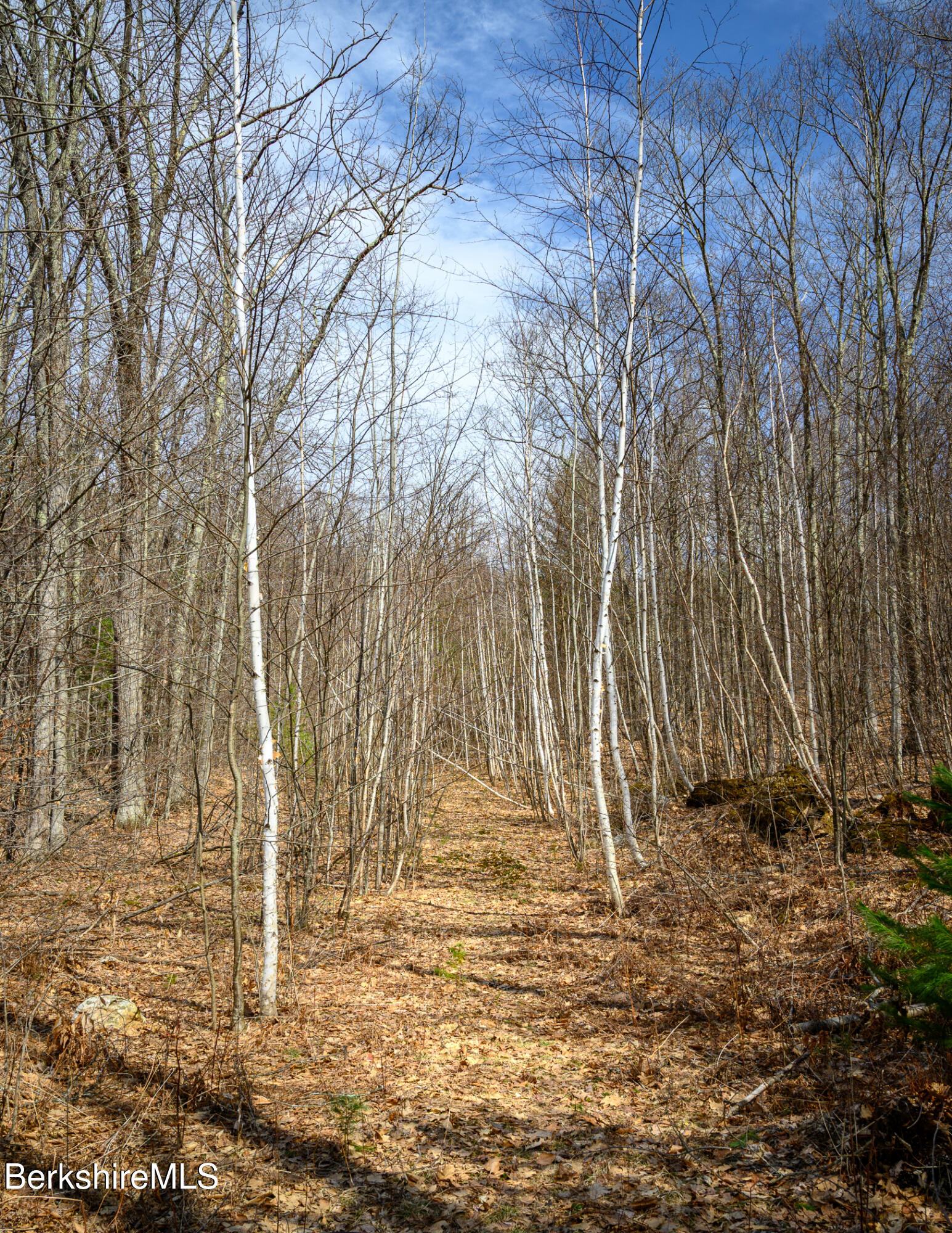 336 Sweet Farm Road Williamstown, MA 01267 - Photo 7 of 8 Entrance