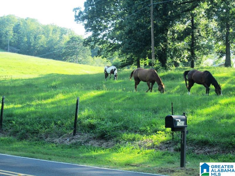 1548 Washington Valley Road Springville, AL 35146 - Photo 8 of 33 Gallery Image 8