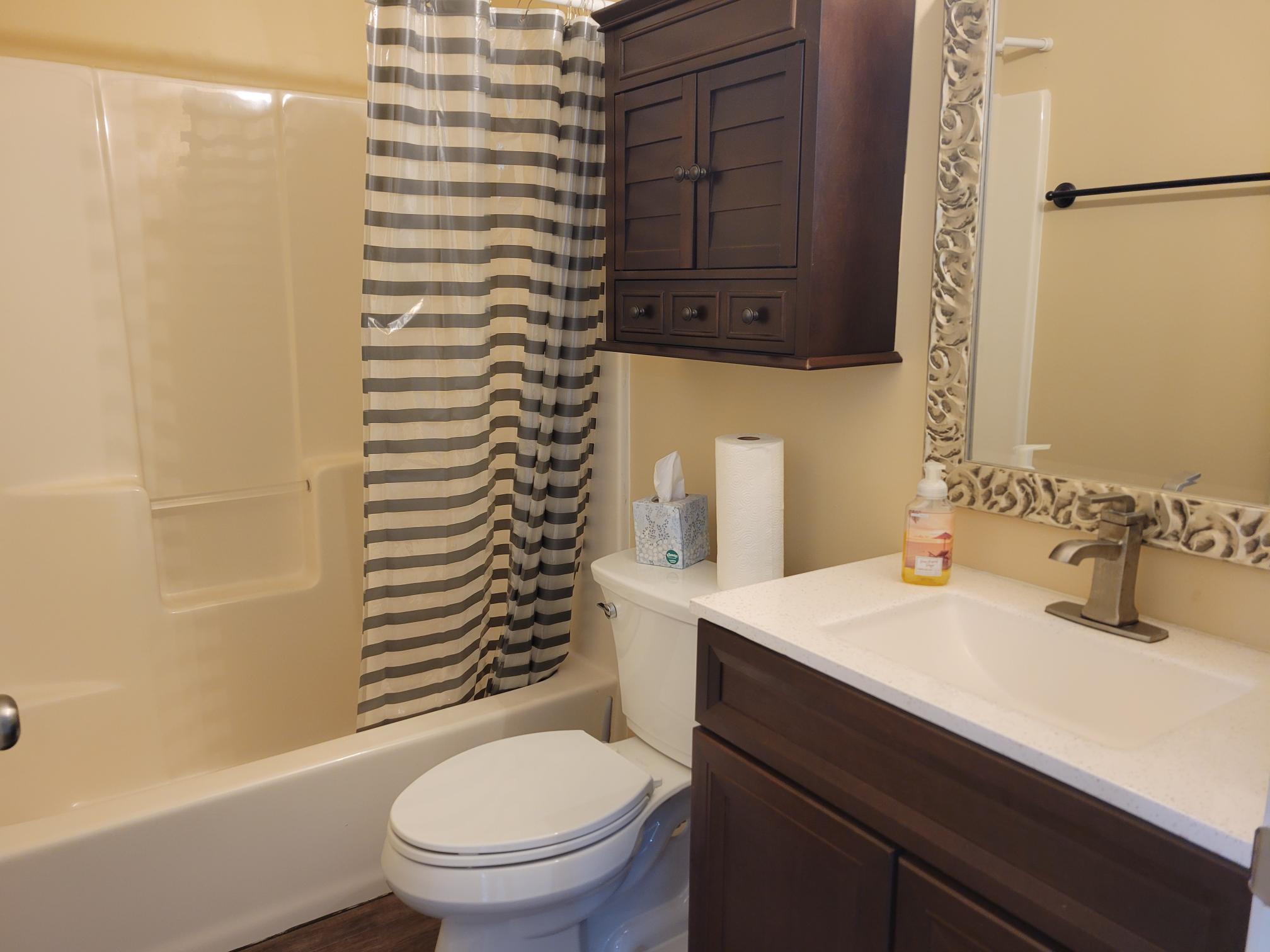 4125 Spruce Street Delavan, WI 53115 - Photo 9 of 11 Guest Bath