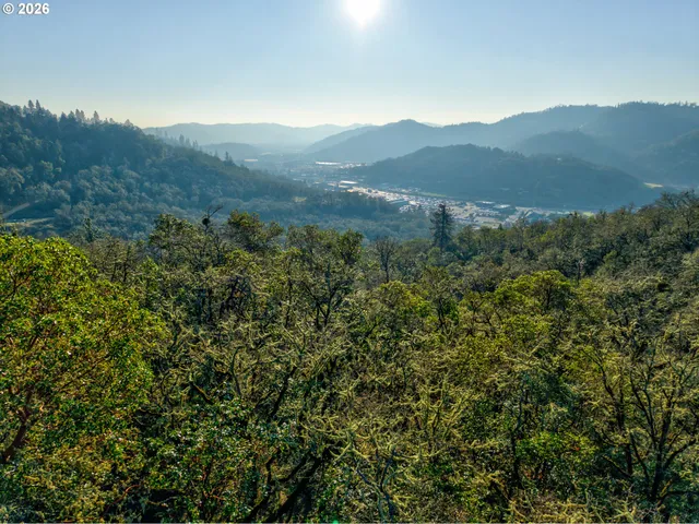 $225,000 | 0 Ryan Heights Lane, Unit TAX LOT, Roseburg, OR 97470