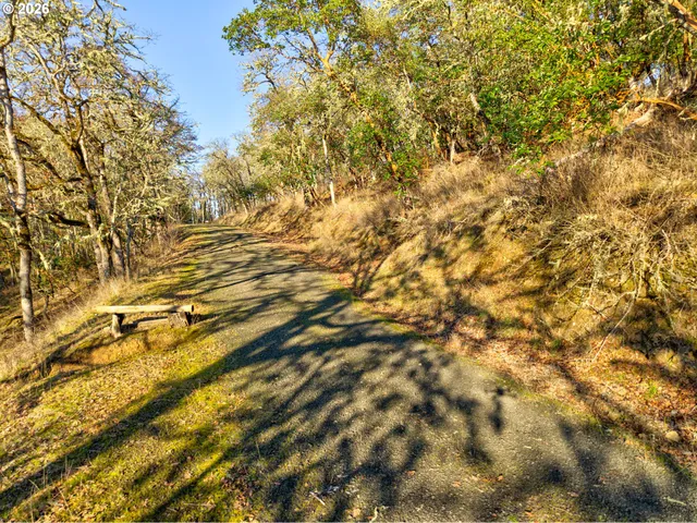 $225,000 | 0 Ryan Heights Lane, Unit TAX LOT, Roseburg, OR 97470