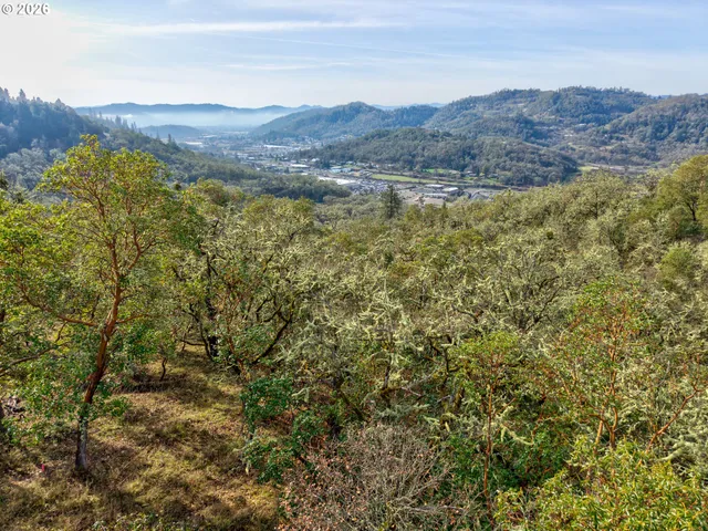 $225,000 | 0 Ryan Heights Lane, Unit TAX LOT, Roseburg, OR 97470