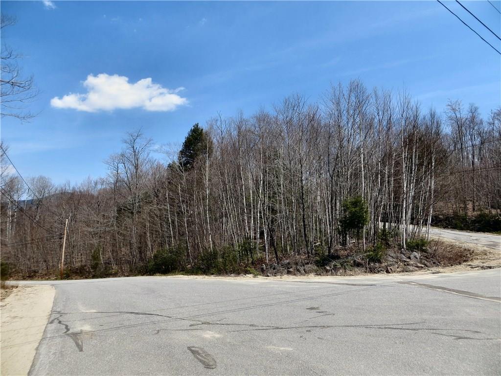 Lot 76 Douglas Road Newry, ME 04261 - Photo 13 of 14 Doulglas Rd on left, Vail Dr on right