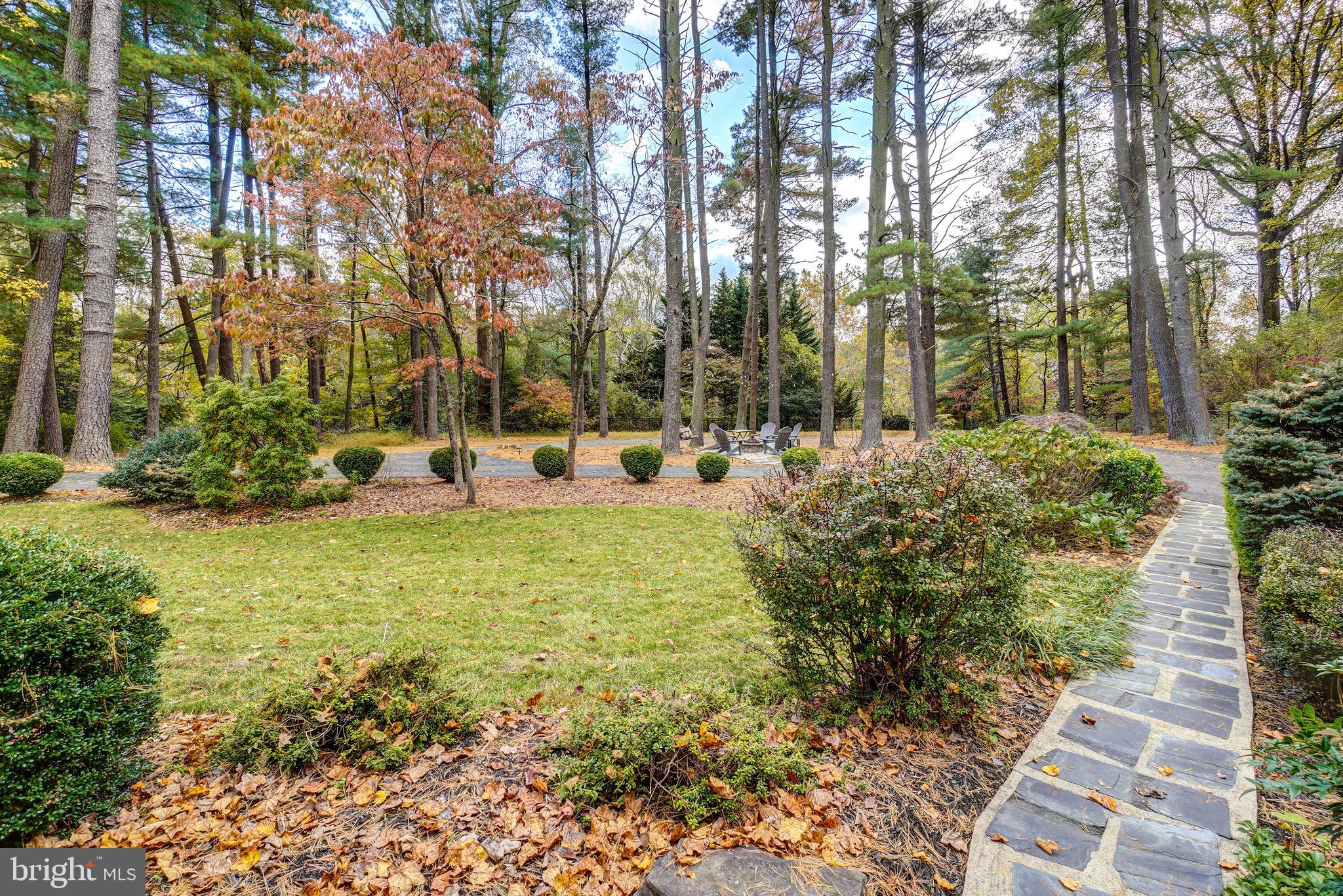 1210 Ashton Road Ashton, MD 20861 - Photo 6 of 37 Wooded Lot