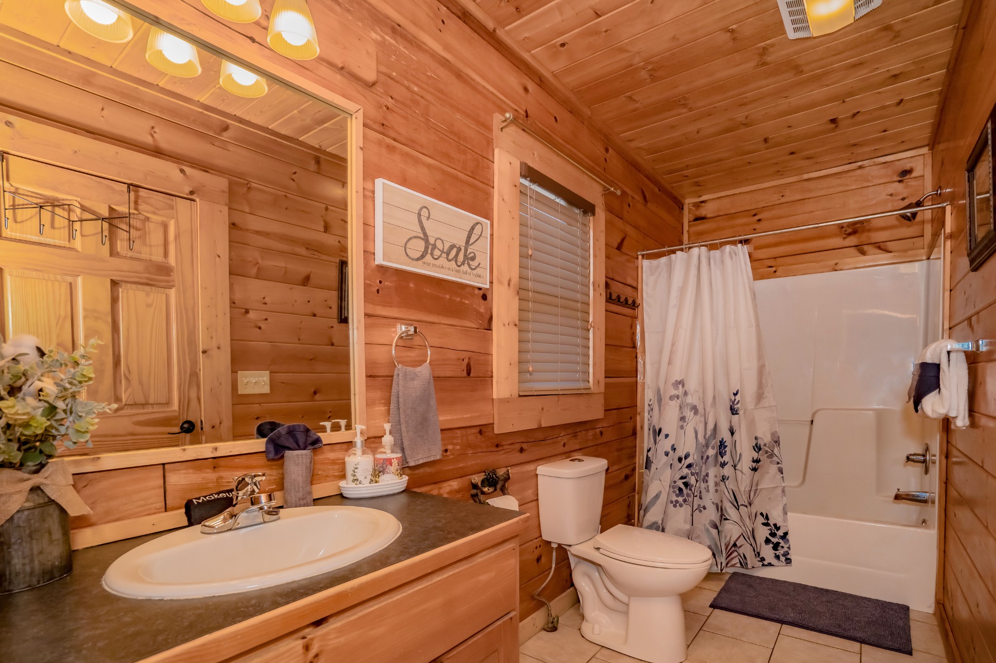 552 Blackberry Rdg Way Sevierville, TN 37863 - Photo 10 of 22 a bathroom with a sink toilet and shower