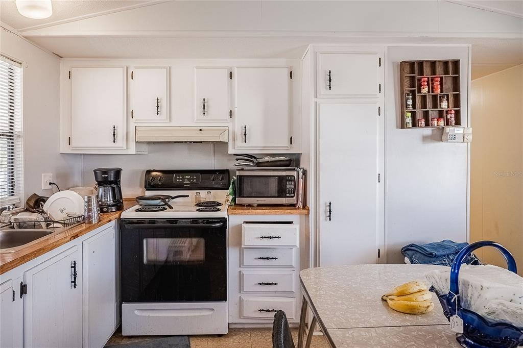 126 Ridge Manor Drive Lake Wales, FL 33853 - Photo 10 of 21