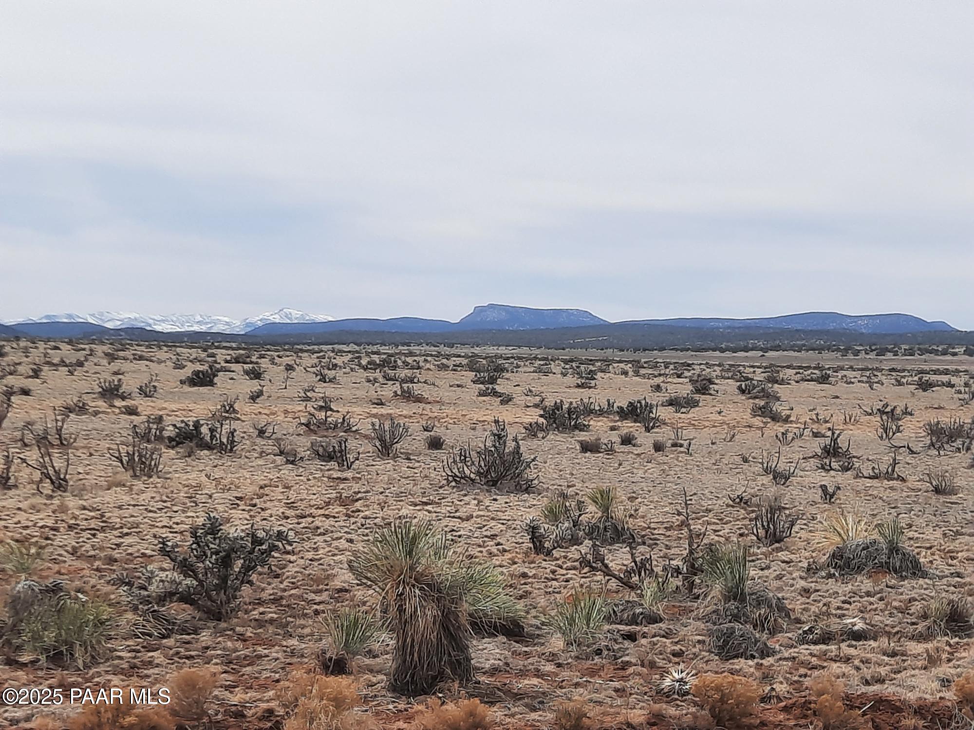 Lot 1104 Off Happy Valley Road Seligman, AZ 86337 - Photo 2 of 6