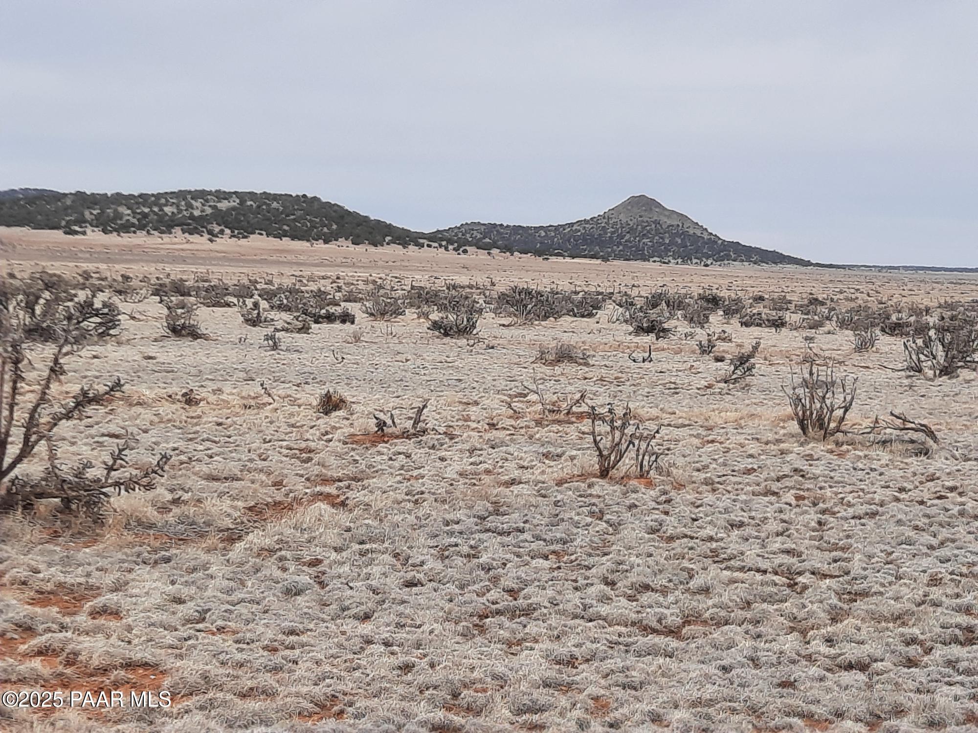 Lot 1104 Off Happy Valley Road Seligman, AZ 86337 - Photo 4 of 6 a view of sky view