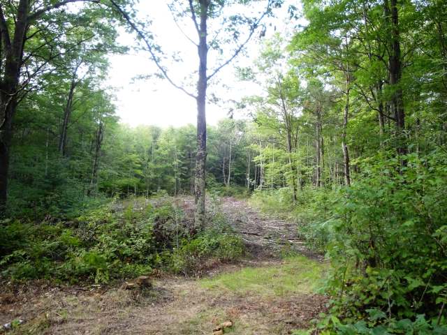 3 Trout Creek Road Rhinelander, WI 54501 - Photo 1 of 9 Gallery Image 1