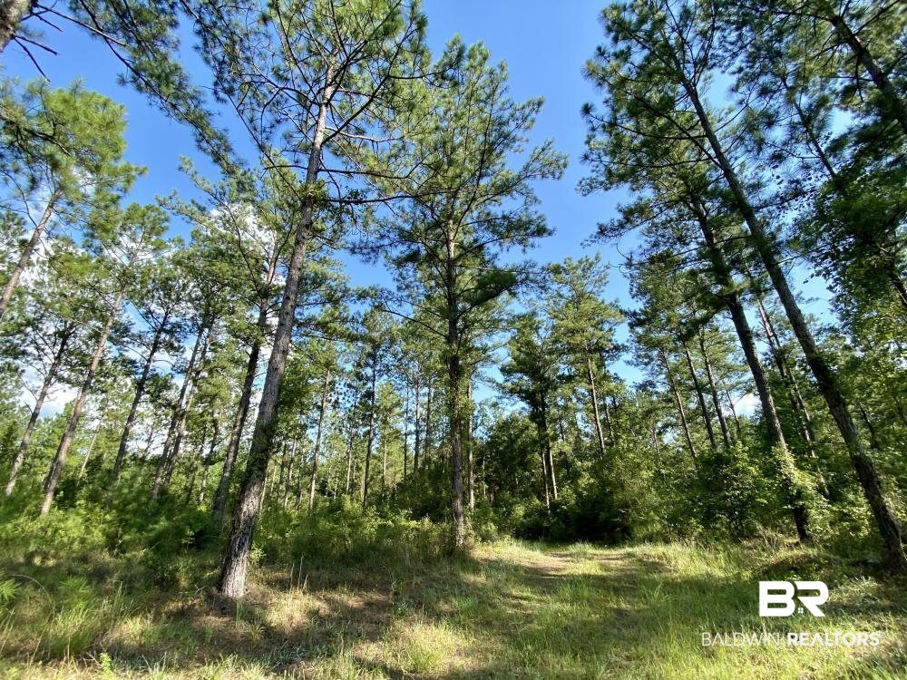 0 Old Ganey Road Stockton, AL 36579 - Photo 18 of 45
