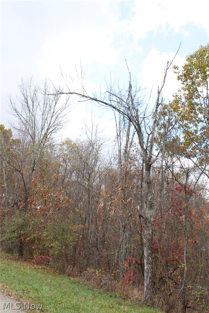 565 State Route Lower Salem, OH 45745 - Photo 5 of 14 Gallery Image 5