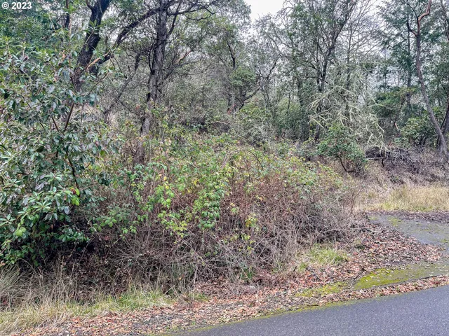 $75,000 | 1004 Northwest Sweetbrier Avenue, Roseburg, OR 97471