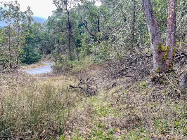 $75,000 | 1004 Northwest Sweetbrier Avenue, Roseburg, OR 97471