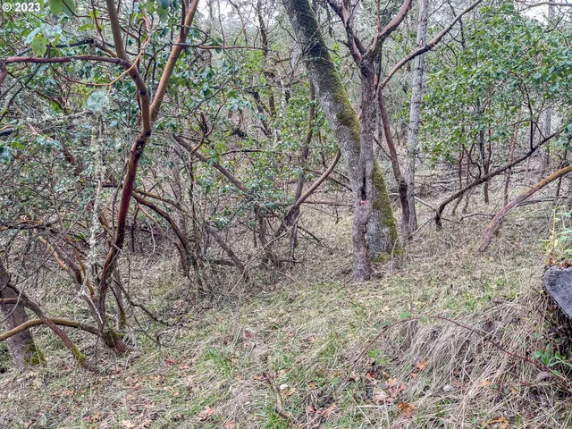 $75,000 | 1004 Northwest Sweetbrier Avenue, Roseburg, OR 97471