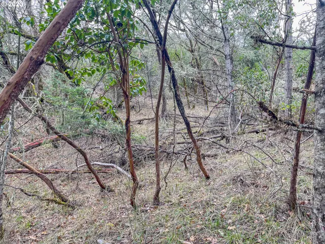 $75,000 | 1004 Northwest Sweetbrier Avenue, Roseburg, OR 97471