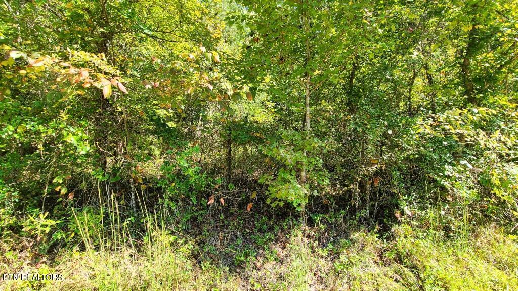 Mel Hall Road Maryville, TN 37803 - Photo 5 of 10 `at the road looking in on left side