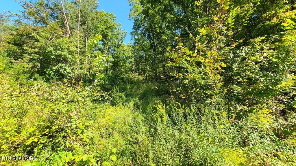 Mel Hall Road Maryville, TN 37803 - Photo 6 of 10 `Center cut in from road