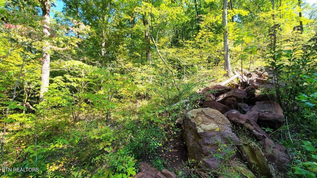 Mel Hall Road Maryville, TN 37803 - Photo 8 of 10 `half way in looking in (1)