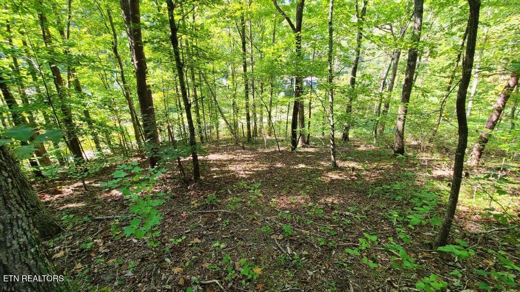 Mel Hall Road Maryville, TN 37803 - Photo 9 of 10 `half way in looking back 3