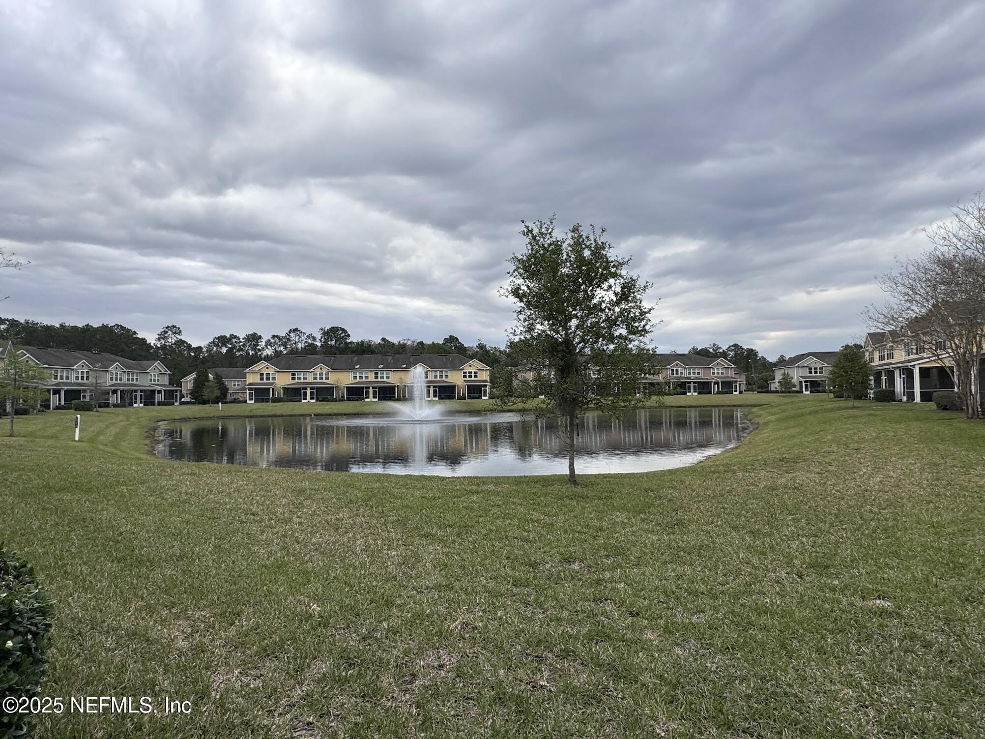 6772 Roundleaf Drive Jacksonville, FL 32258 - Photo 5 of 32 Roundleaf Back Yard