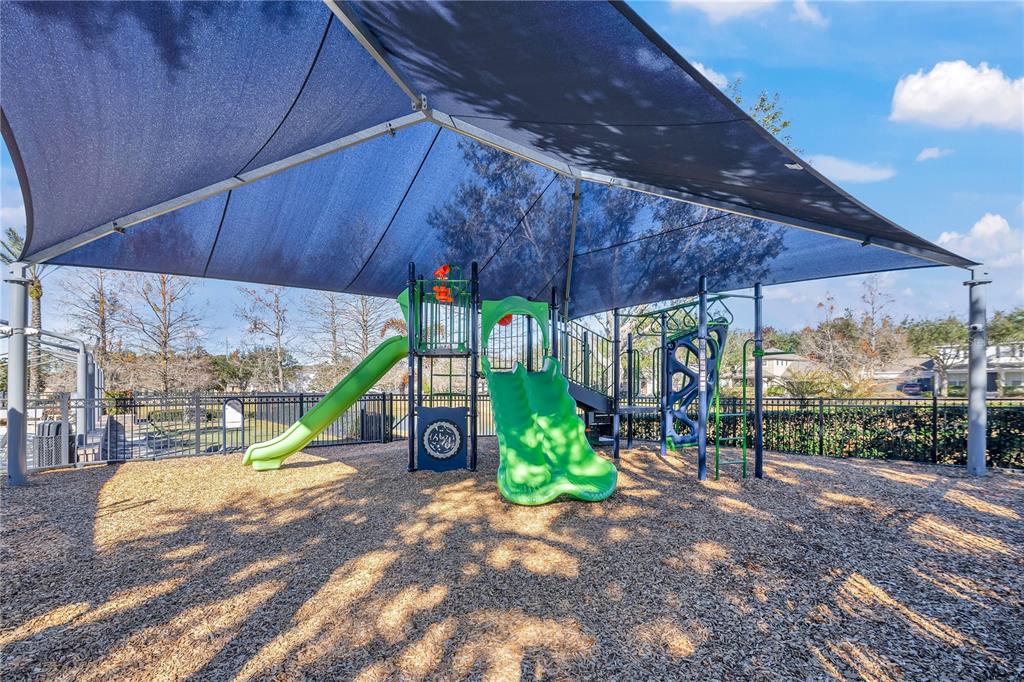 13263 Strode Lane Windermere, FL 34786 - Photo 51 of 53 a view of a backyard