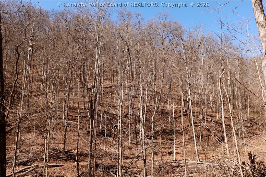0 Straight Creek Road Walton, WV 25286 - Photo 34 of 47 Gallery Image 34