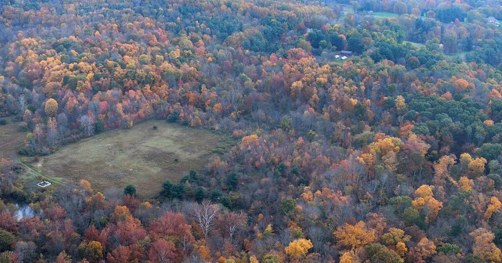 19 Dorrence Road Granville, OH 43023 - Photo 48 of 48 biological-reserve_01_0 (1)
