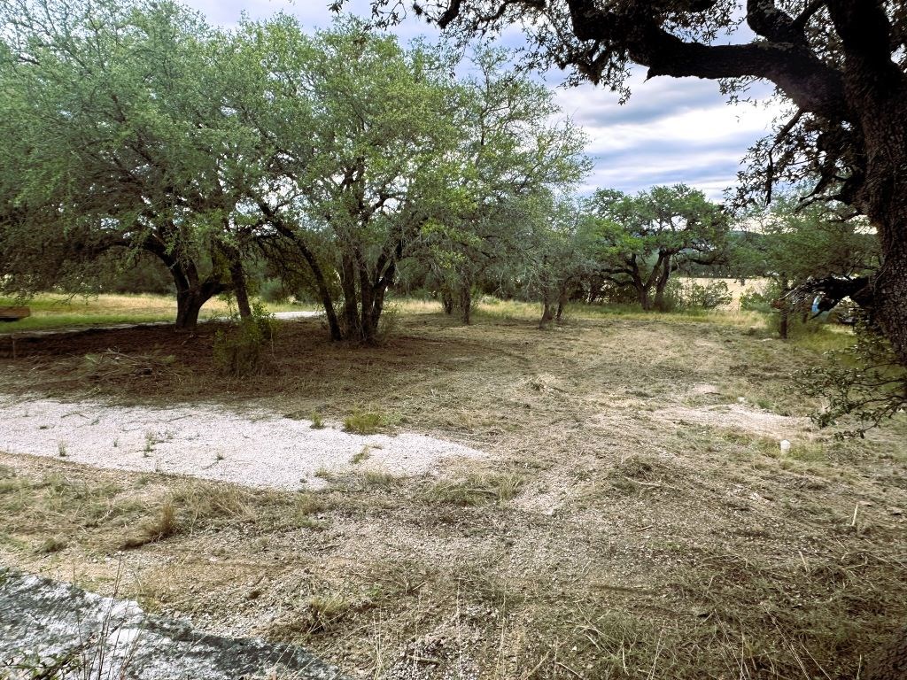 52 Timbers Drive Leakey, TX 78873 - Photo 11 of 28 a view of a yard with a tree